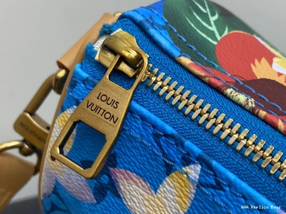 Aaa replica bags SPEEDY Vuitton 25 Louis 0825
